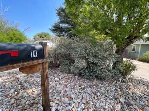 14 Cloud St (27)