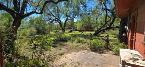 1709 Calle Senderra Rd (15)