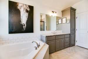 9020 Chital Court (17)