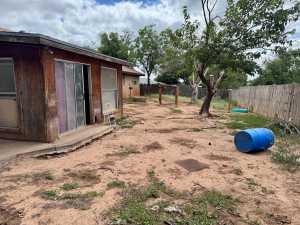 2819 Lindenwood Dr (19)