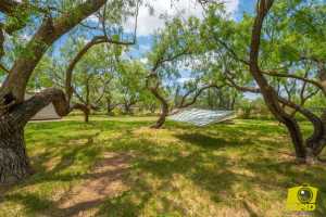 10561 Twin Lakes Lane (43)