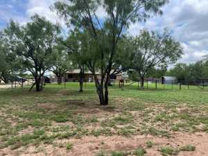 7809 Alma Jo Dr (25)