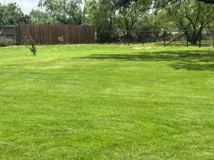 7809 Alma Jo Dr (34)