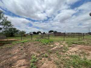 7809 Alma Jo Dr (45)
