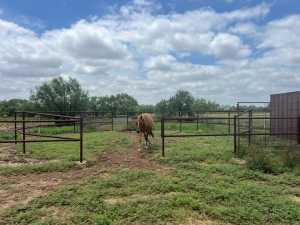 7809 Alma Jo Dr (48)