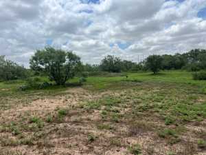 7809 Alma Jo Dr (50)