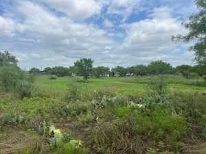 7809 Alma Jo Dr (53)