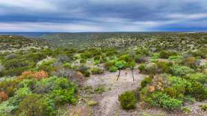 Well Pad Rd (4)