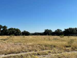 Hilltop Rd (11)