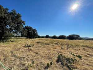 Hilltop Rd (15)