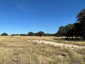 Hilltop Rd (20)