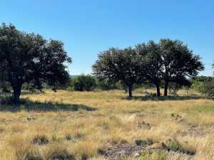 Hilltop Rd (24)