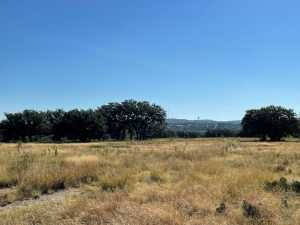 Hilltop Rd (9)