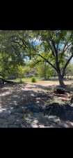 12237 Dove Creek Lane West (28)