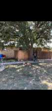 12237 Dove Creek Lane West (4)
