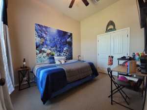 3929 Caroline Lane (11)