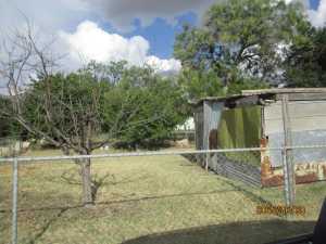 846 San Jacinto St (6)