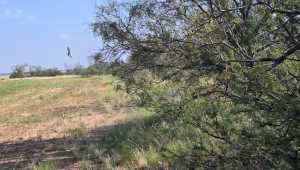 CR 112 (10)