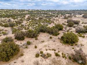 2488 Private Rd 3312 (43)