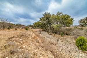 2488 Private Rd 3312 (44)