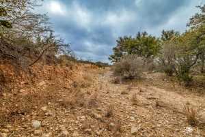 2488 Private Rd 3312 (48)