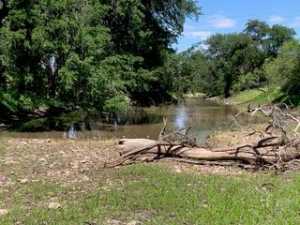 2488 Private Rd 3312 (55)