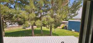 1210 Elizabeth Street (9)