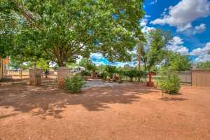 220 McDowell St (27)