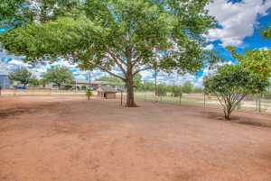 220 McDowell St (33)