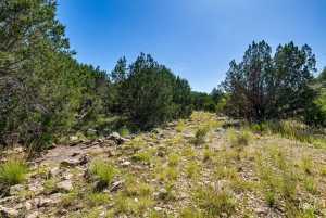 TBD County Rd 140 (3)