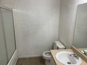 3816 A Wild Rye Tr (7)