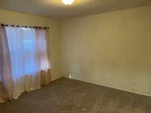 3816 A Wild Rye Tr (8)