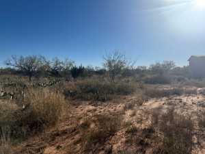 2619 OBryan Lane (2)