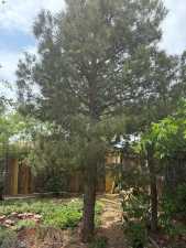 811 Akin St (11)
