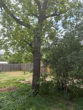 811 Akin St (31)