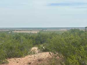 TBD FM 2333 (10)
