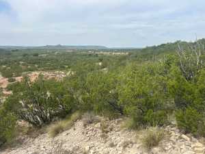 TBD FM 2333 (2)